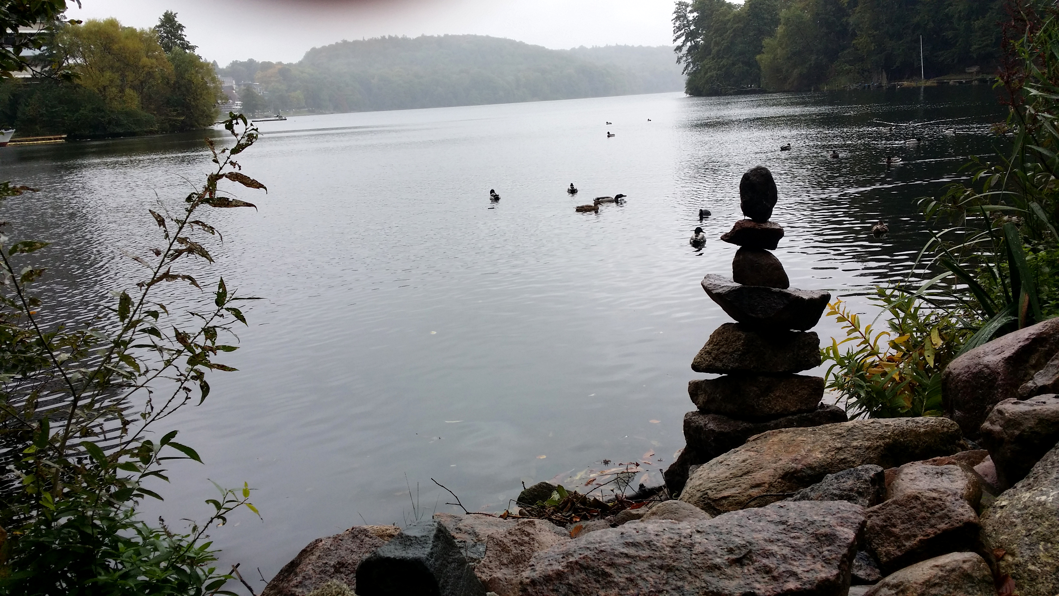 QiGong - Übungsleiter-Kurs